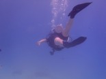 国内おすすめダイビングスポット＜北海道･東北･佐渡･房総湘南編＞