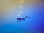 国内おすすめダイビングスポット＜伊豆半島･伊豆諸島･東海地方編＞